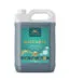 detergent baccarat